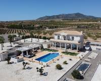 New Build - Villa - Pinoso