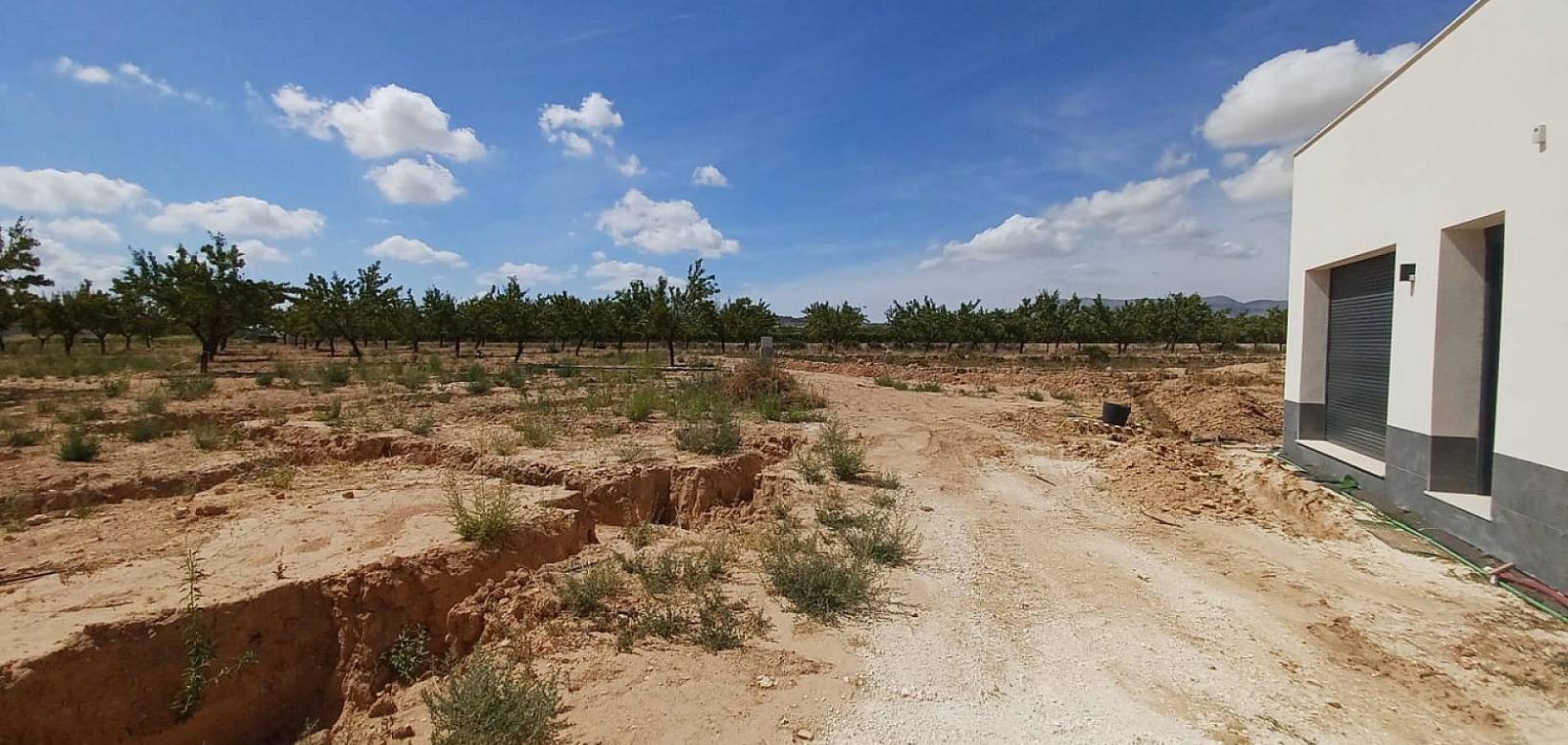 New Build - Villa - Pinoso