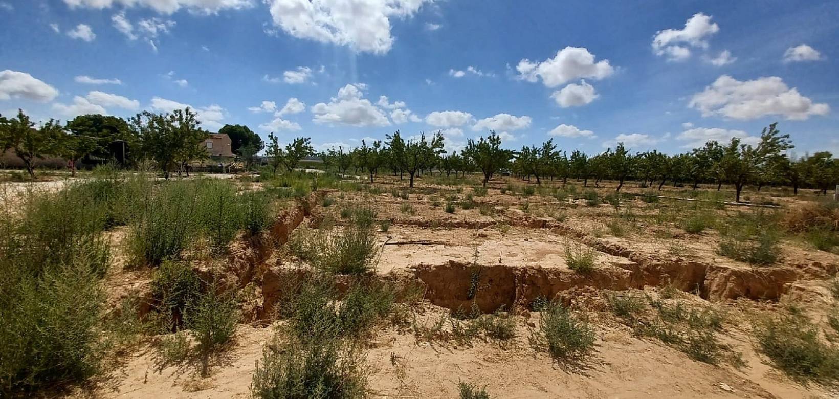 New Build - Villa - Pinoso