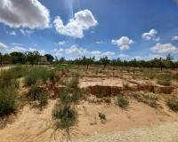 New Build - Villa - Pinoso