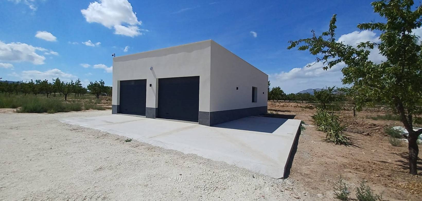 New Build - Villa - Pinoso