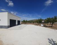 New Build - Villa - Pinoso