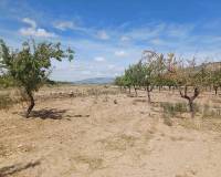 New Build - Villa - Pinoso