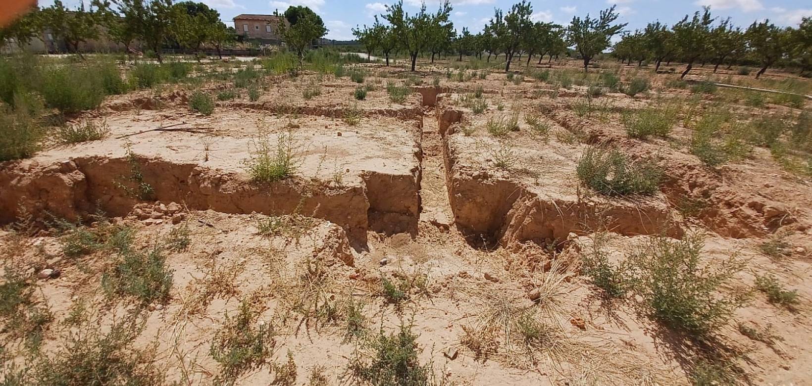 New Build - Villa - Pinoso