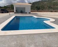 New Build - Villa - Pinoso