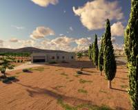 New Build - Villa - Pinoso