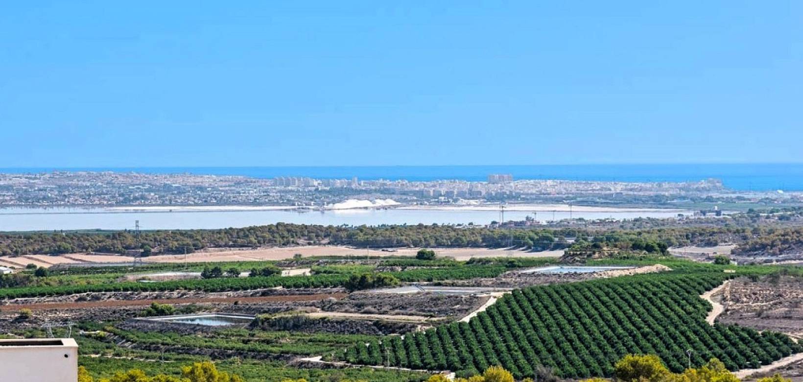 New Build - Villa - San Miguel de Salinas