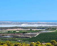 New Build - Villa - San Miguel de Salinas