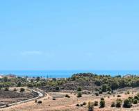 New Build - Villa - San Miguel de Salinas