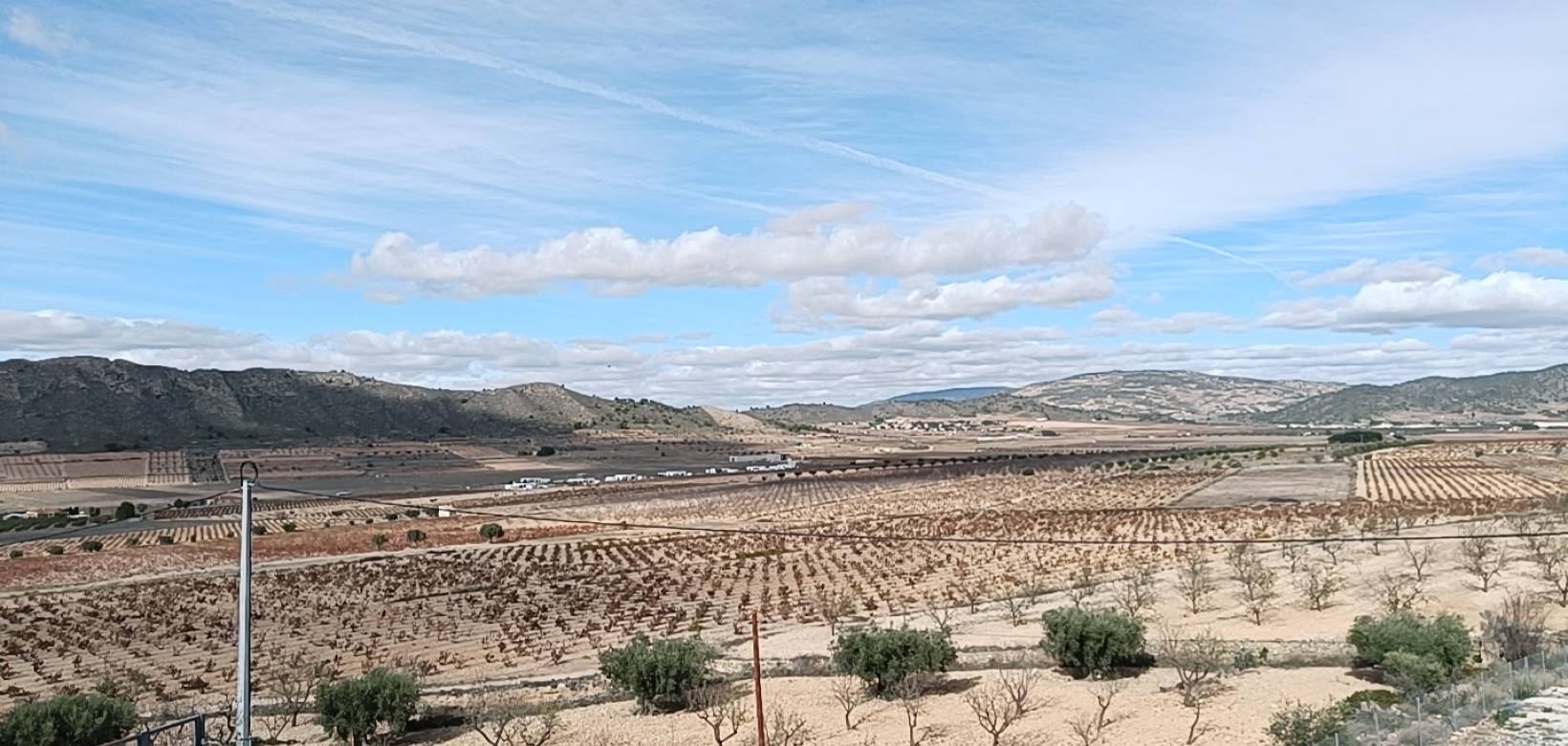 Nieuw gebouw - Villa - Cañada de la Leña - 