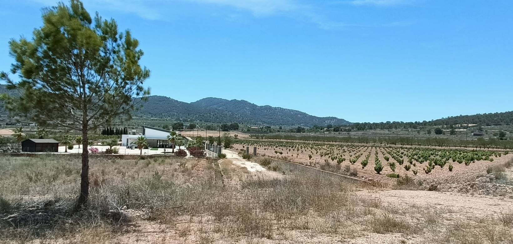 Nieuw gebouw - Villa - Cañada de la Leña - 