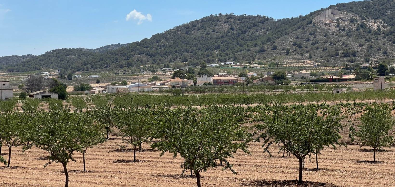 Nieuw gebouw - Villa - Cañada de la Leña - 