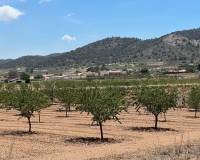 Nieuw gebouw - Villa - Cañada de la Leña - 