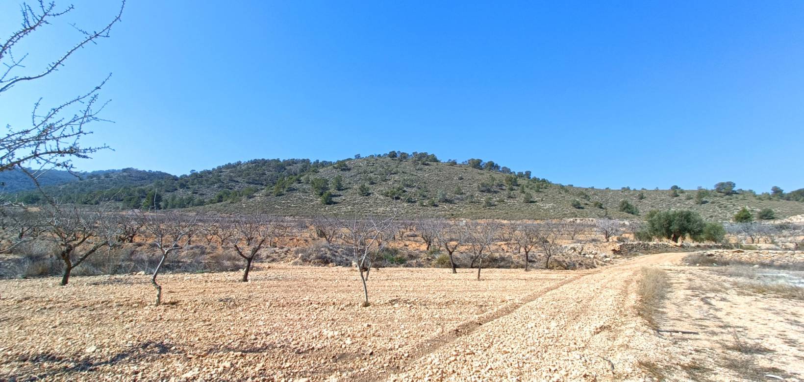 Nieuw gebouw - Villa - Cañada de la Leña - 