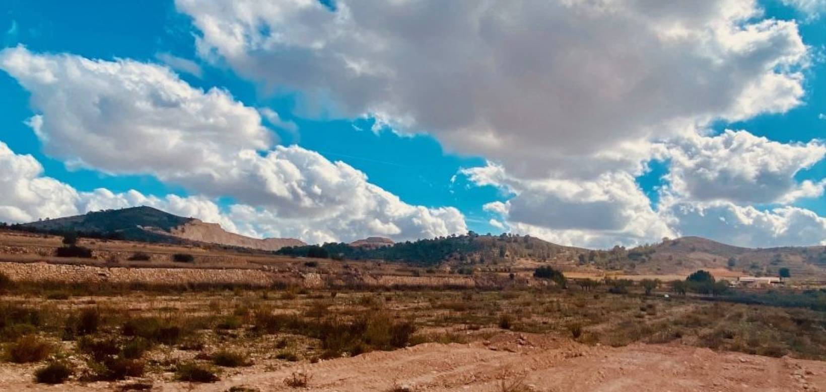 Nieuw gebouw - Villa - Hondón de las Nieves