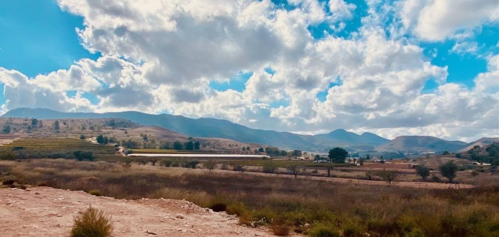 Nieuw gebouw - Villa - Hondón de las Nieves