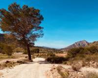 Nieuw gebouw - Villa - Hondón de las Nieves