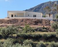 Nieuw gebouw - Villa - Hondón de las Nieves