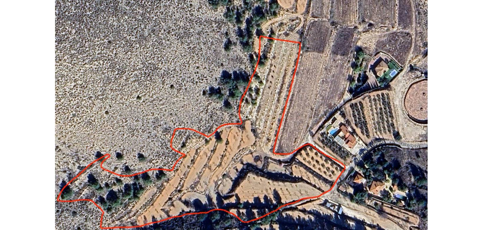 Nieuw gebouw - Villa - La Romana