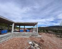 Nieuw gebouw - Villa - La Romana