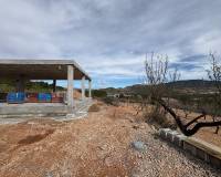 Nieuw gebouw - Villa - La Romana