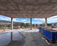 Nieuw gebouw - Villa - La Romana