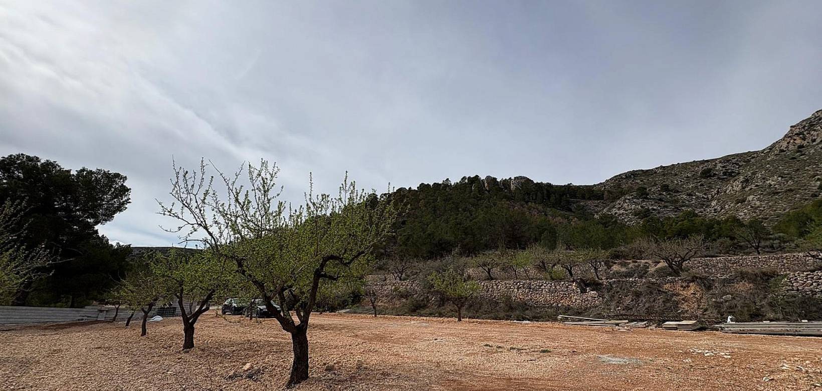 Nieuw gebouw - Villa - La Romana