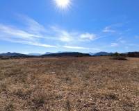 Nieuw gebouw - Villa - La Romana