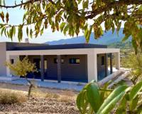 Nieuw gebouw - Villa - La Romana