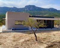 Nieuw gebouw - Villa - La Romana