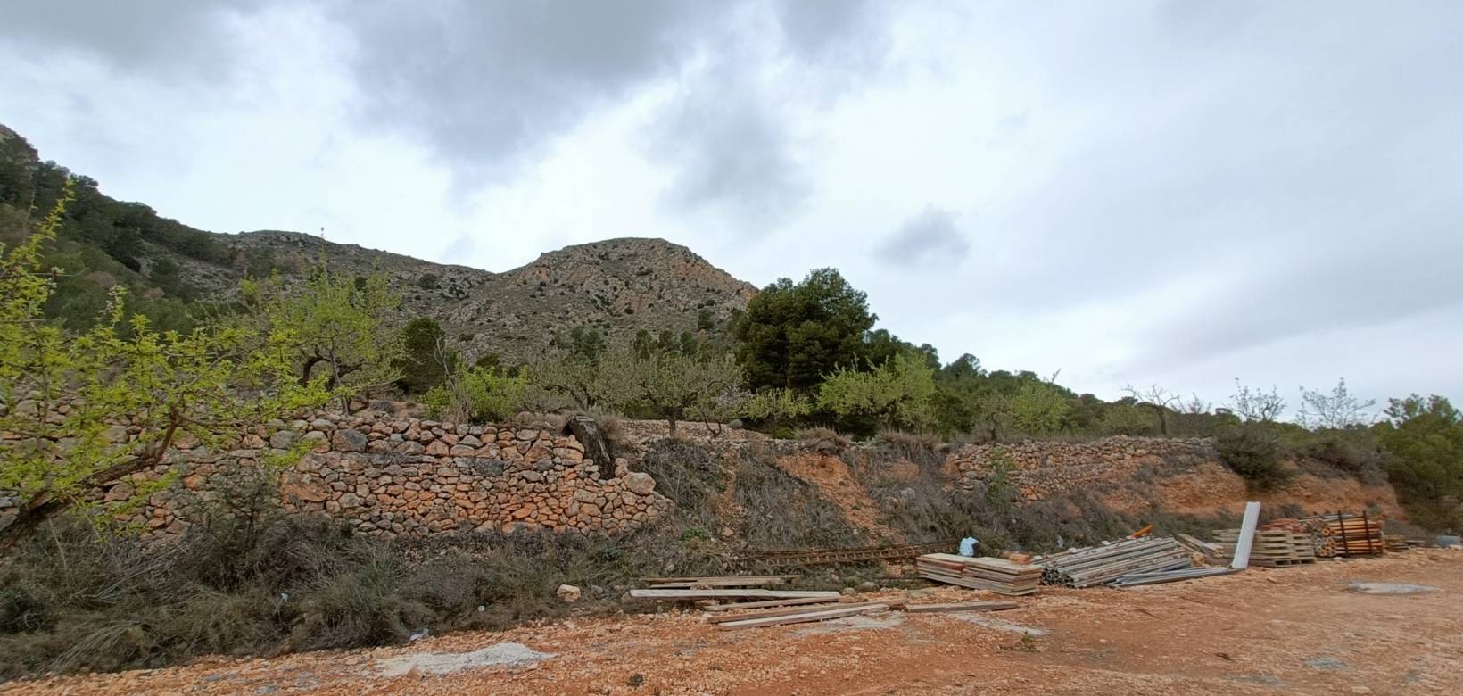 Nieuw gebouw - Villa - La Romana