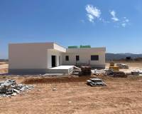 Nieuw gebouw - Villa - Pinoso - Caballusa