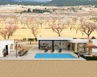 Nieuw gebouw - Villa - Pinoso - 