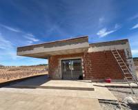 Nieuw gebouw - Villa - Pinoso - 