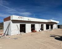 Nieuw gebouw - Villa - Pinoso - 