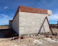 Nieuw gebouw - Villa - Pinoso - 