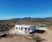 Nieuw gebouw - Villa - Pinoso - 