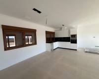 Nieuw gebouw - Villa - Pinoso - 