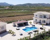 Nieuw gebouw - Villa - Pinoso - 