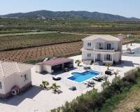 Nieuw gebouw - Villa - Pinoso - 