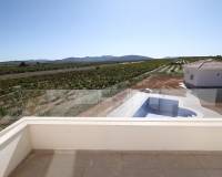 Nieuw gebouw - Villa - Pinoso - 