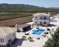 Nieuw gebouw - Villa - Pinoso - 