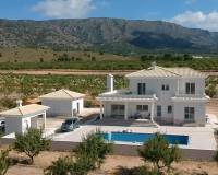 Nieuw gebouw - Villa - Pinoso - 