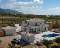 Nieuw gebouw - Villa - Pinoso - 