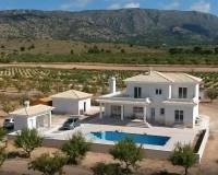 Nieuw gebouw - Villa - Pinoso - 