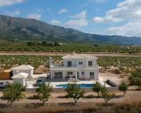 Nieuw gebouw - Villa - Pinoso - 