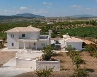 Nieuw gebouw - Villa - Pinoso - 