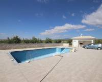 Nieuw gebouw - Villa - Pinoso - 