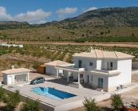 Nieuw gebouw - Villa - Pinoso - 