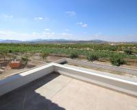 Nieuw gebouw - Villa - Pinoso - 